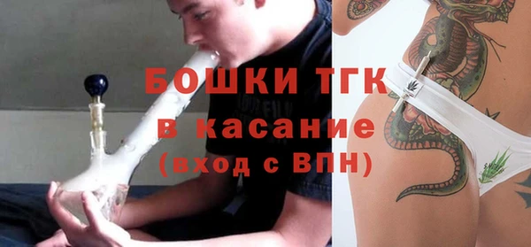 гашик Грязовец